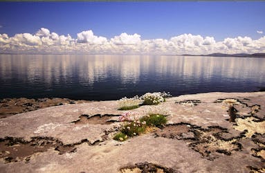 Tour naar Aran Island en Cliffs of Moher met cruise